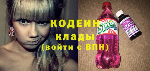 трава Корсаков