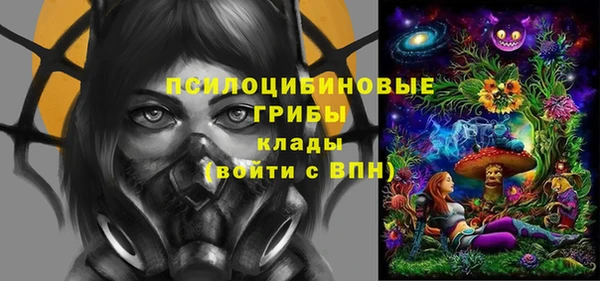 соль курить ск Богородицк