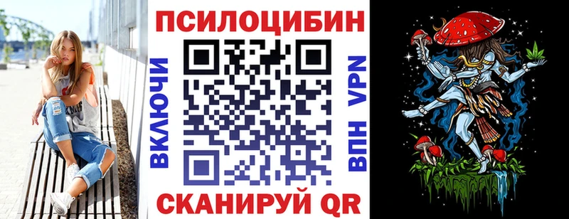 что такое   Кольчугино  omg маркетплейс  Галлюциногенные грибы Psilocybine cubensis 